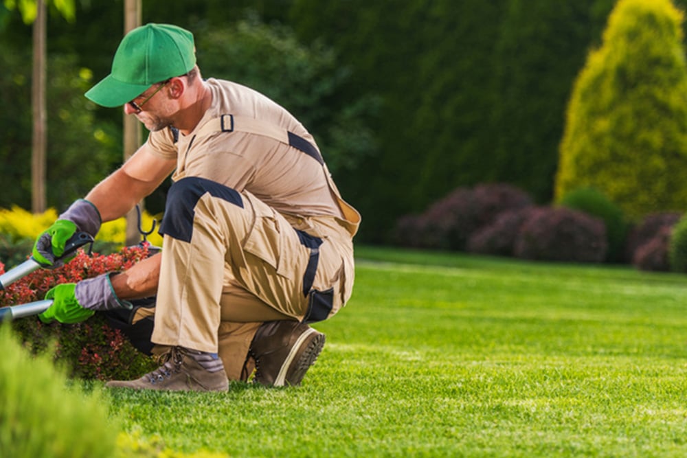 Neighbourhood Heroes providing eco-friendly lawn care to a beautiful lawn in summerside