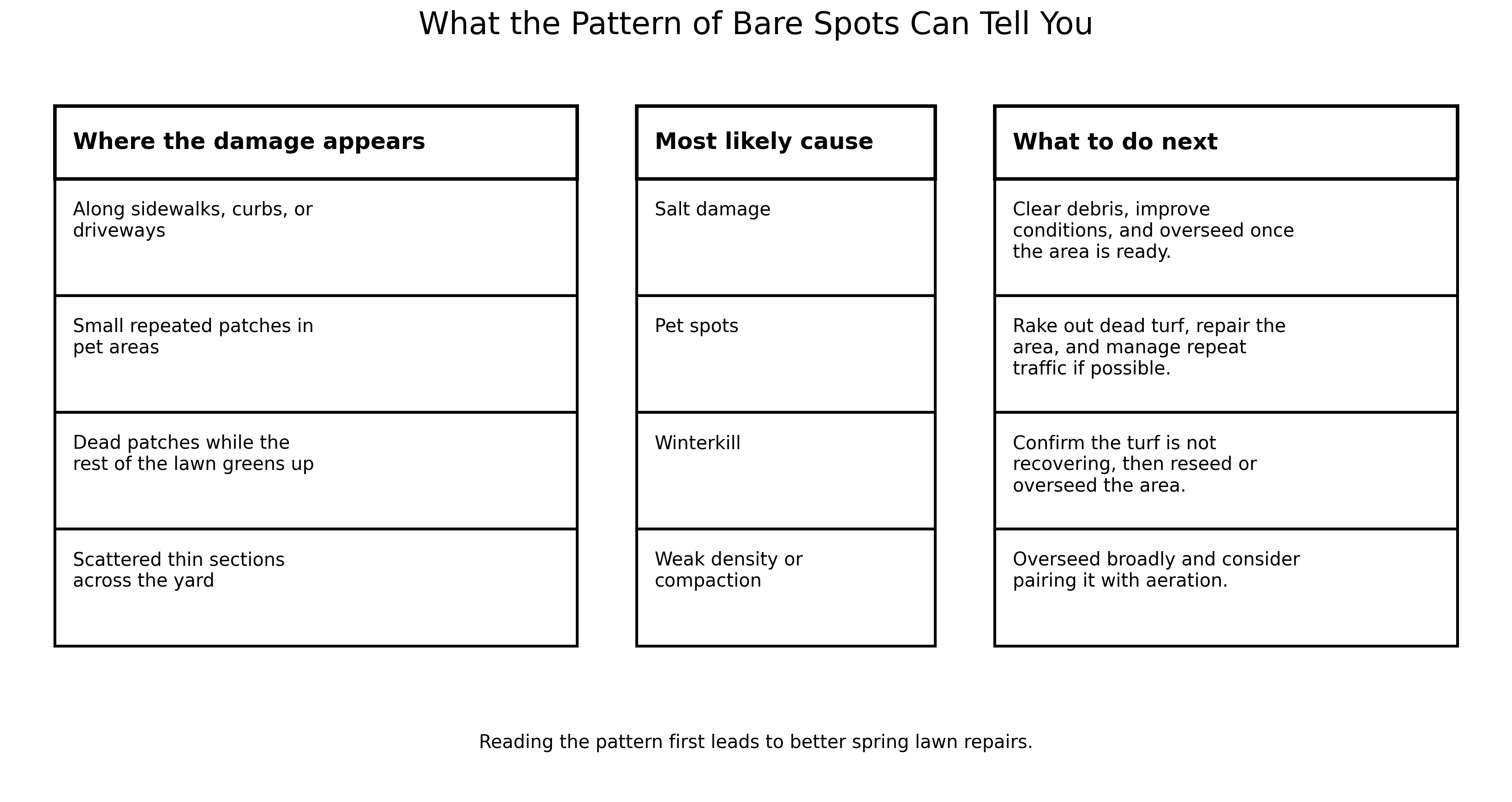 What the patterns of your bare spots can tell you 