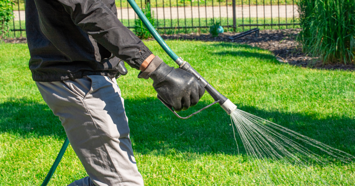close up image of a Neighbourhood Heroes employee applying liquid fertilizer to an Edmonton lawn. 