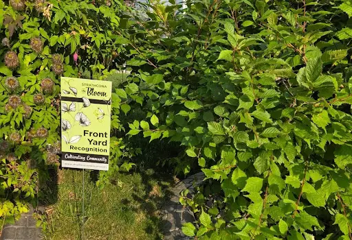 Bloom Award for lawn of Neighbourhood Heroes customer