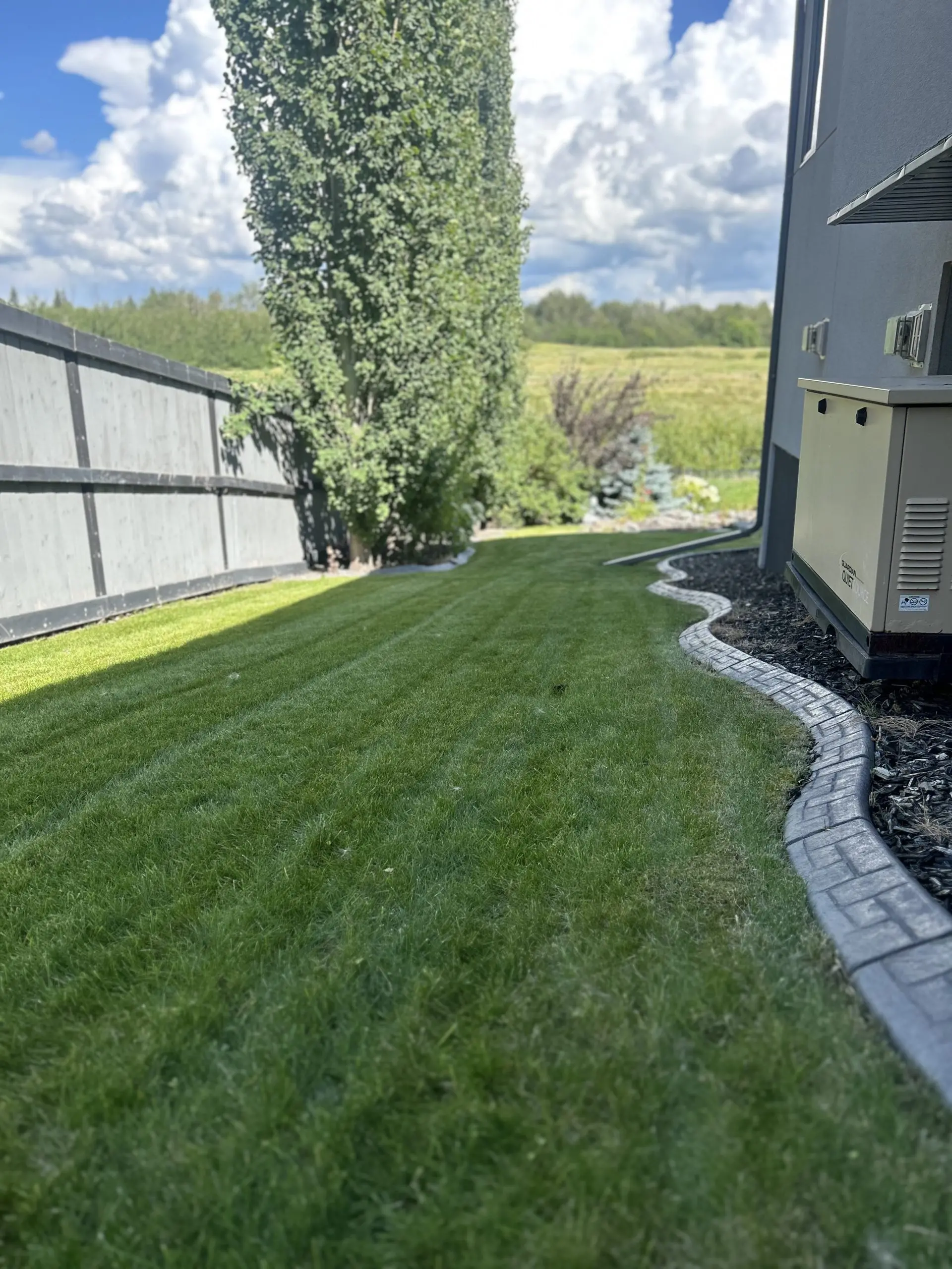 Healthy lawn to side of house bordered by a fence