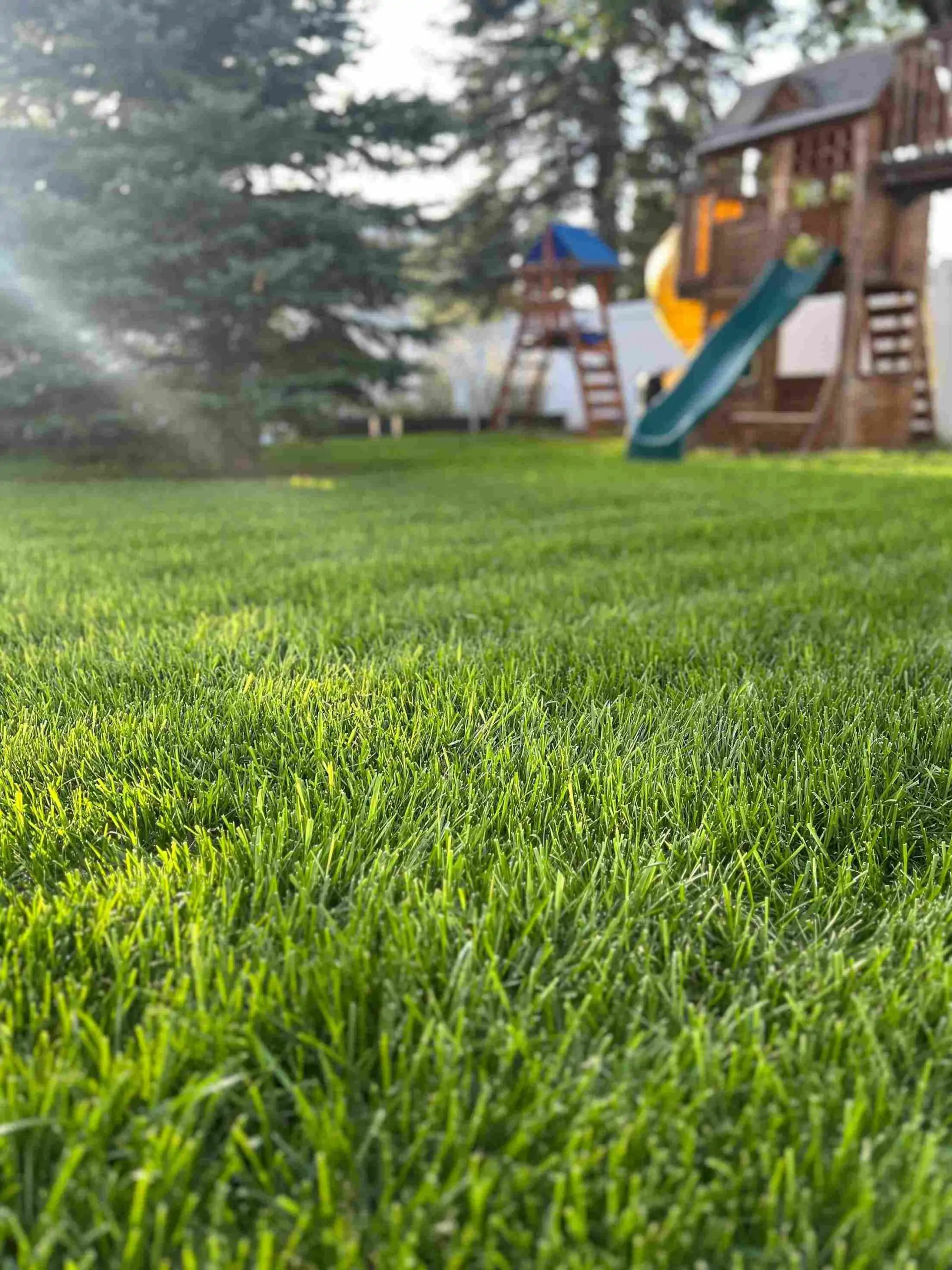 lawn care packages and pricing edmonton