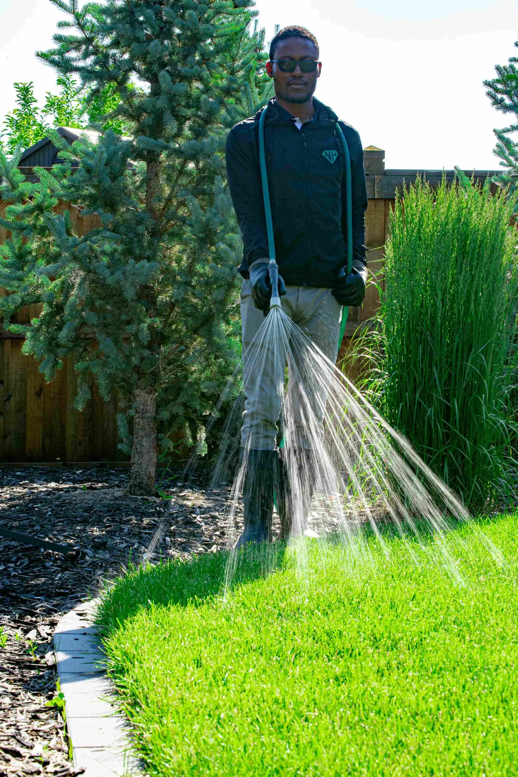 Weed Control and Fertilizer