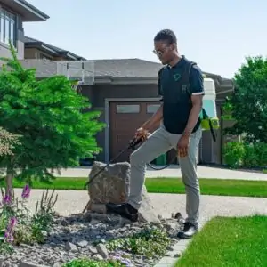 Best lawn care edmonton and edmonton lawn care