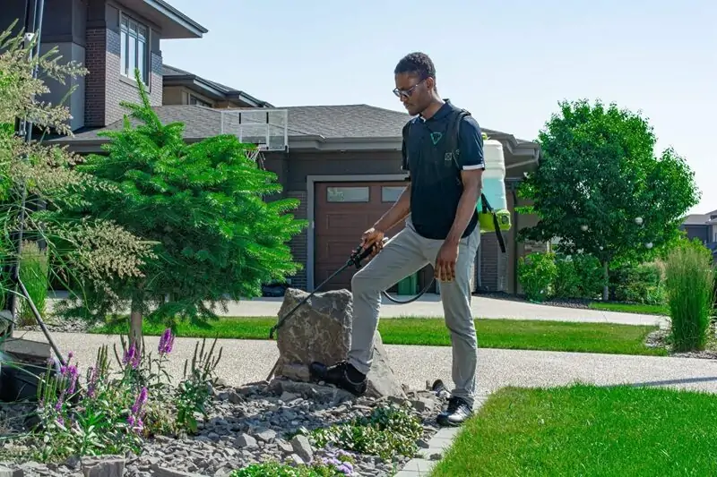 Best lawn care edmonton and edmonton lawn care