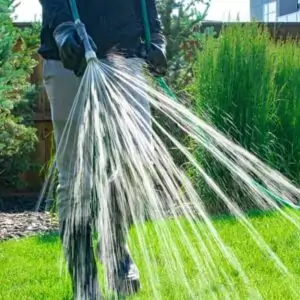 pet-friendly weed control services by Neighbourhood heroes