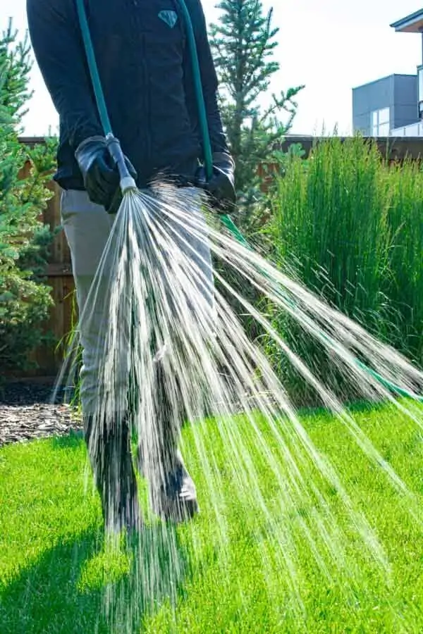 pet-friendly weed control services by Neighbourhood heroes