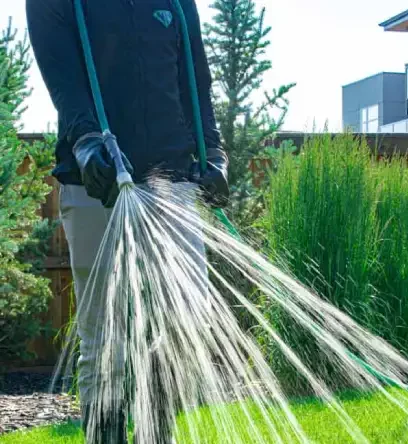 Weed Control