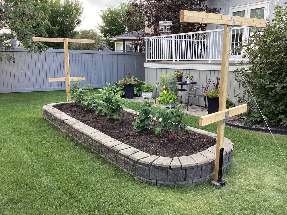 Neighbourhood Heroes’ Healthy Greens