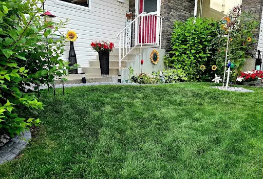 Side of front lawn near entrance door with lush grass and flowers