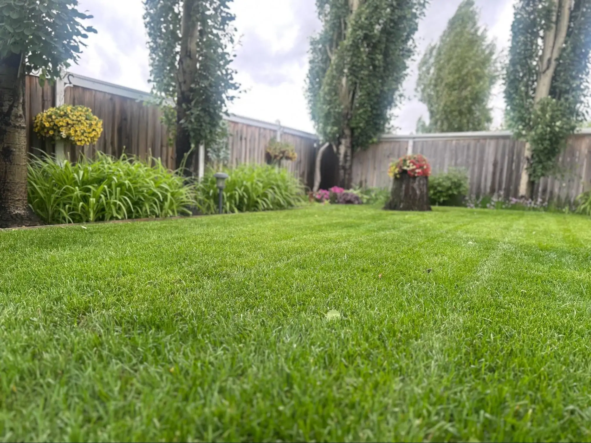 A Beautiful Backyard in Edmonton after receiving lawn care services