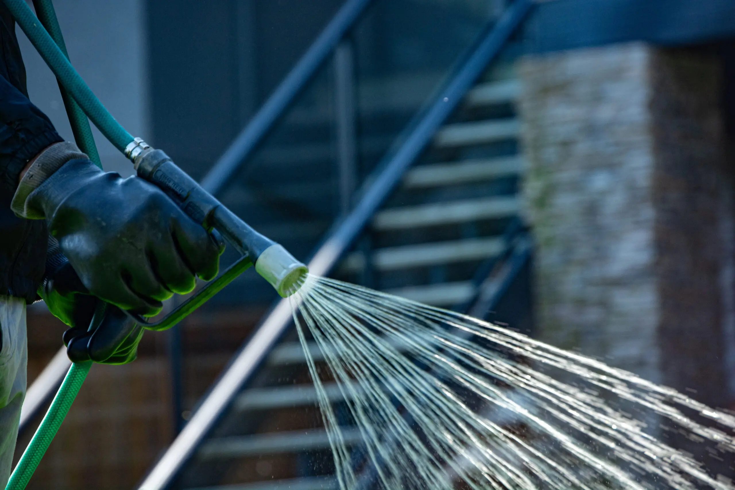 edmonton lawn weed management and weed control services in edmonton