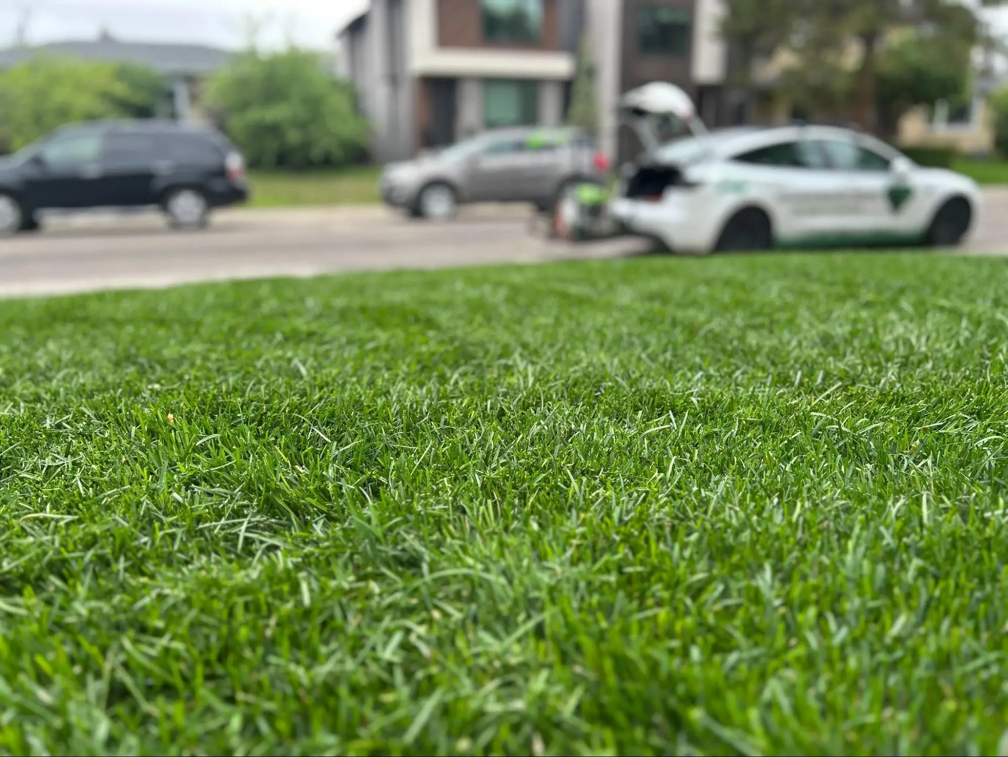 Neighbourhood Heroes is the first fully electric lawn mowing service in Edmonton