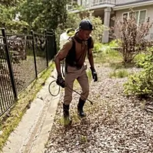 A hero performing vegetation control spraying to remove weeds from rockbeds by Neighbourhood Heroes in Edmonton