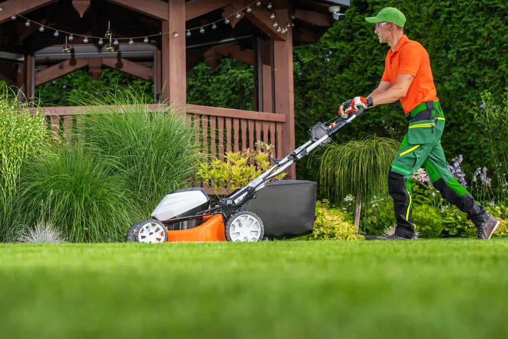 Complete List Of Lawn Care Services You Didn’t Know You Needed