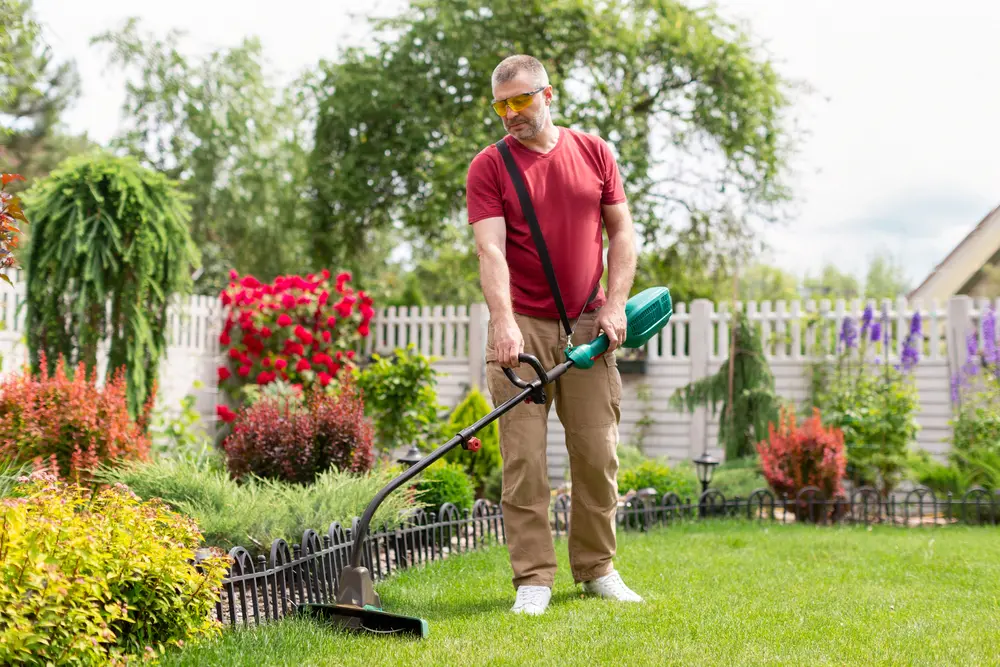Organic Lawn Care Tricks For Busy Homeowners