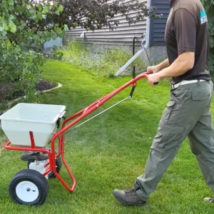 overseeding