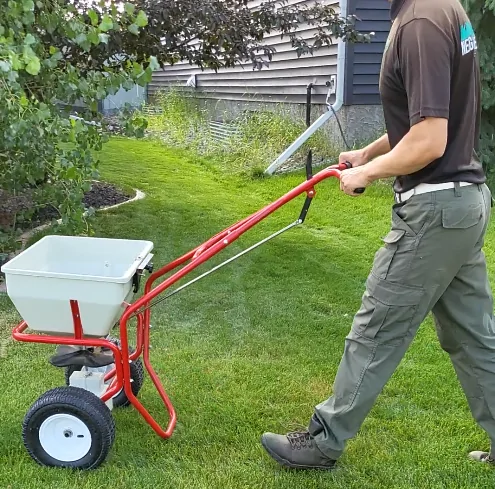 overseeding