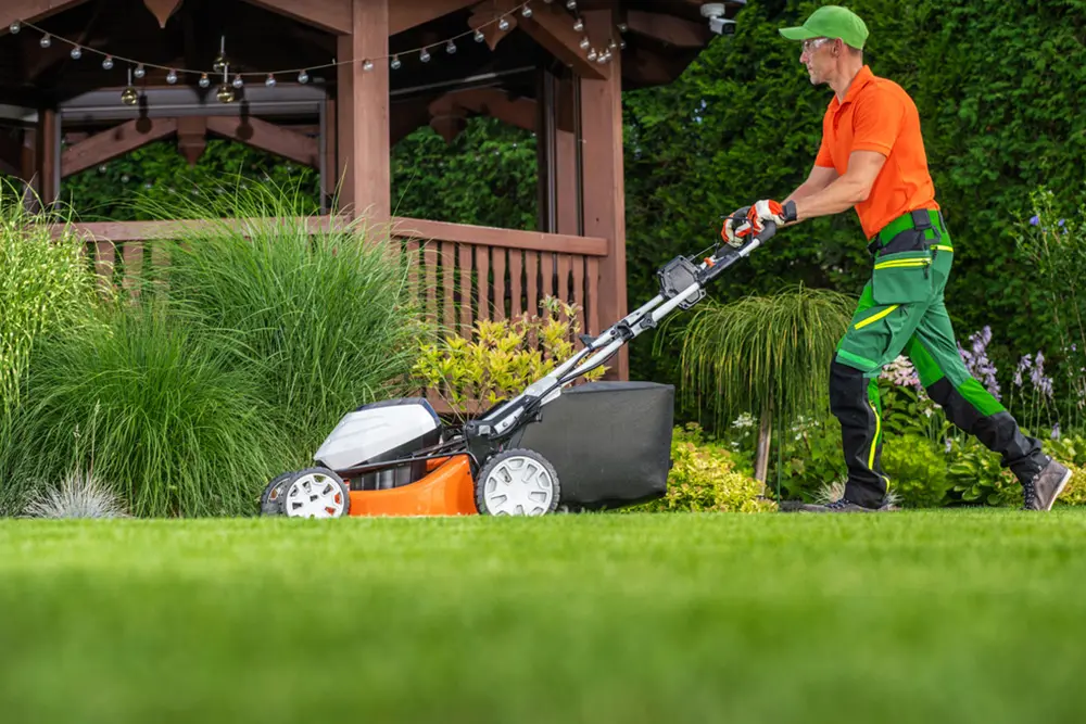 The Only Year-Round Lawn Care Schedule You Need