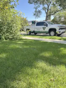 truck parked in front of sidewalk