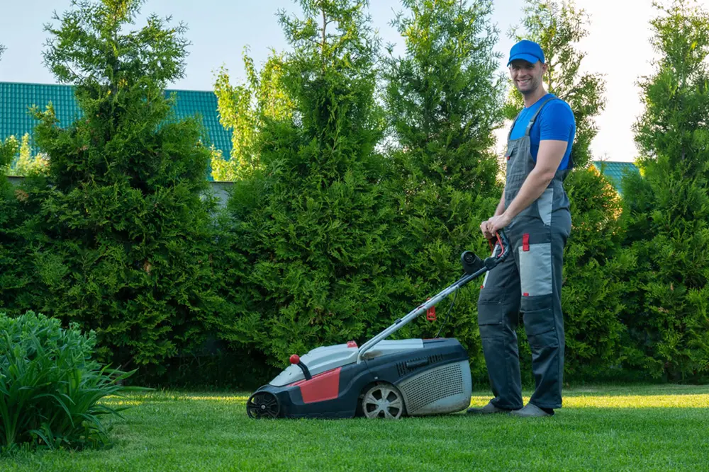 What Is Full-Service Lawn Care And Why Should You Consider It?